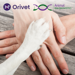 Animal DNA Diagnostics Acquired by Orivet